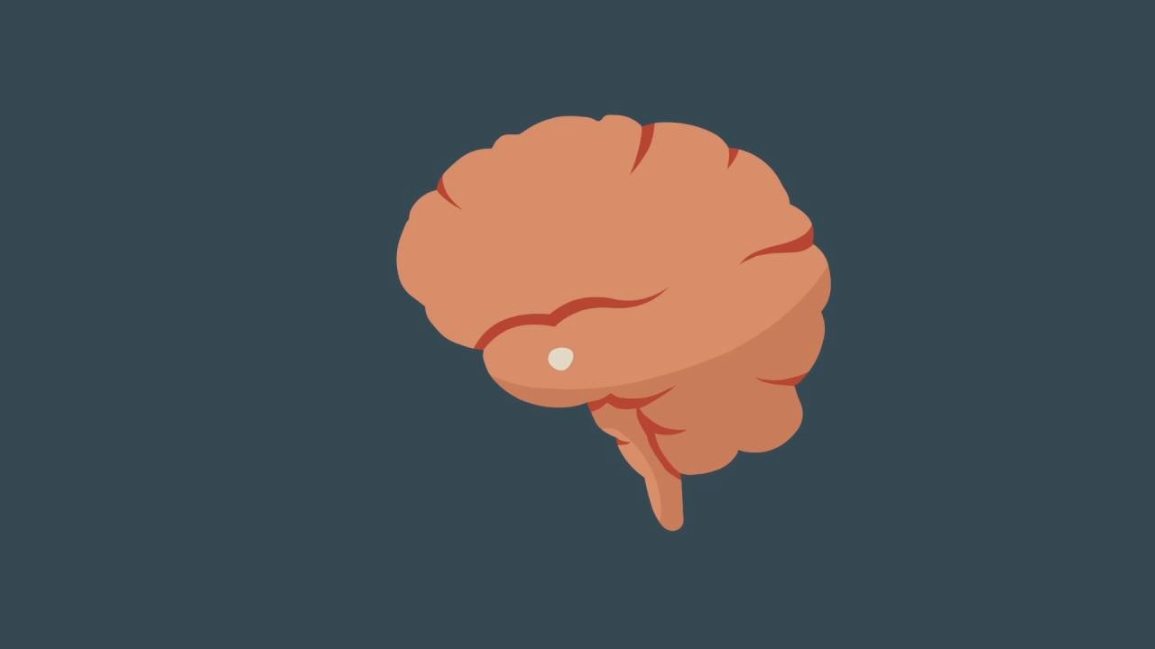 Brain and Mindfulness: How It Works?