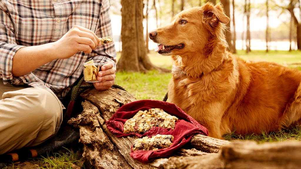 Treat your furry friend with homemade trail mix including deer hooves